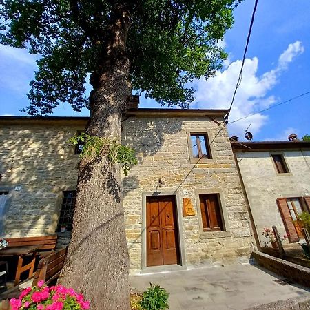 Апартаменты Casina La Quercia Санта-София Экстерьер фото