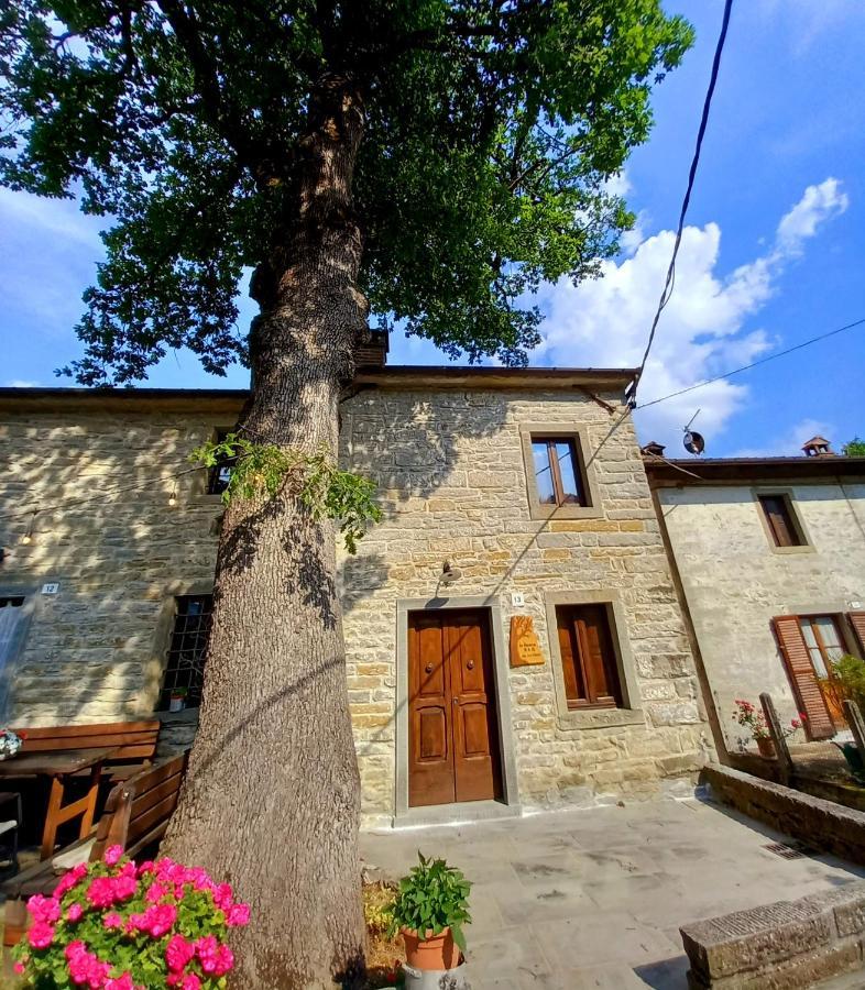 Апартаменты Casina La Quercia Санта-София Экстерьер фото