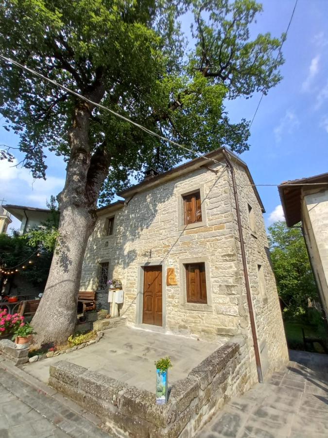 Апартаменты Casina La Quercia Санта-София Экстерьер фото